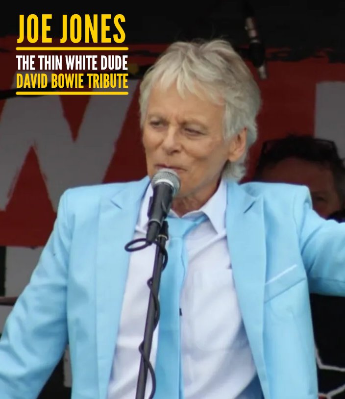 Joe Jones — The Thin White Dude - Tribute Act