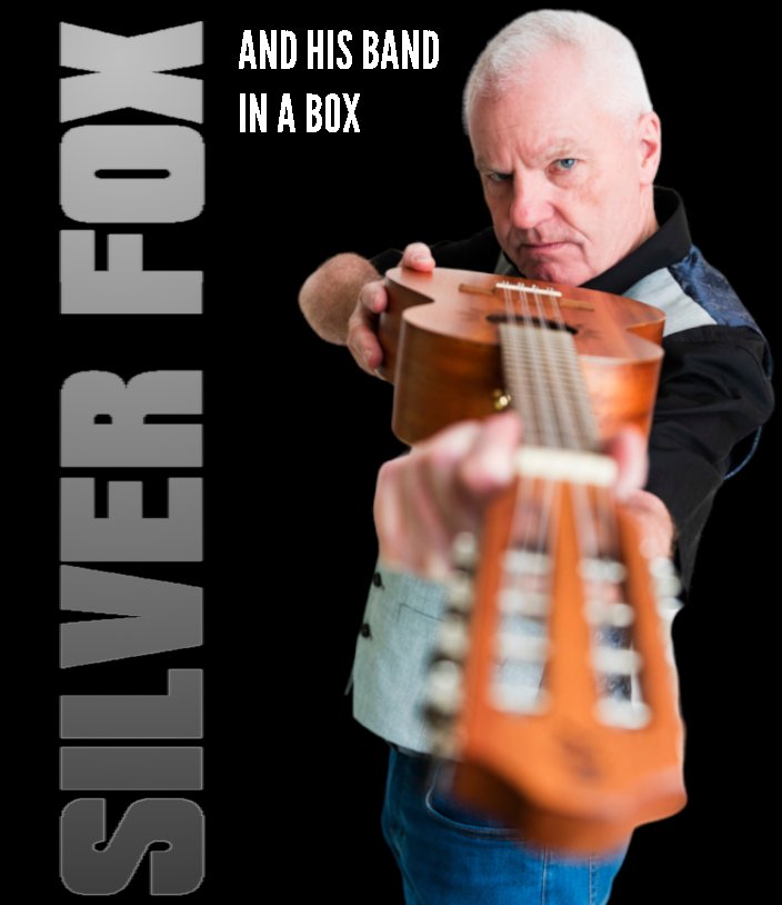 Silver Fox - Solo Artist